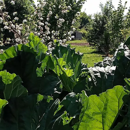 Le Jardin D'orion Bed & Breakfast