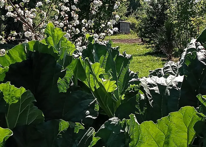 Le Jardin D'orion Bed & Breakfast