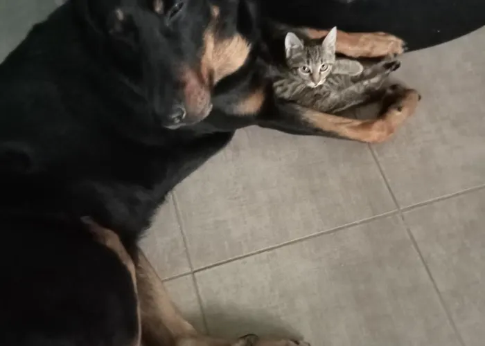 Bed & Breakfast Le Jardin D'orion 3*